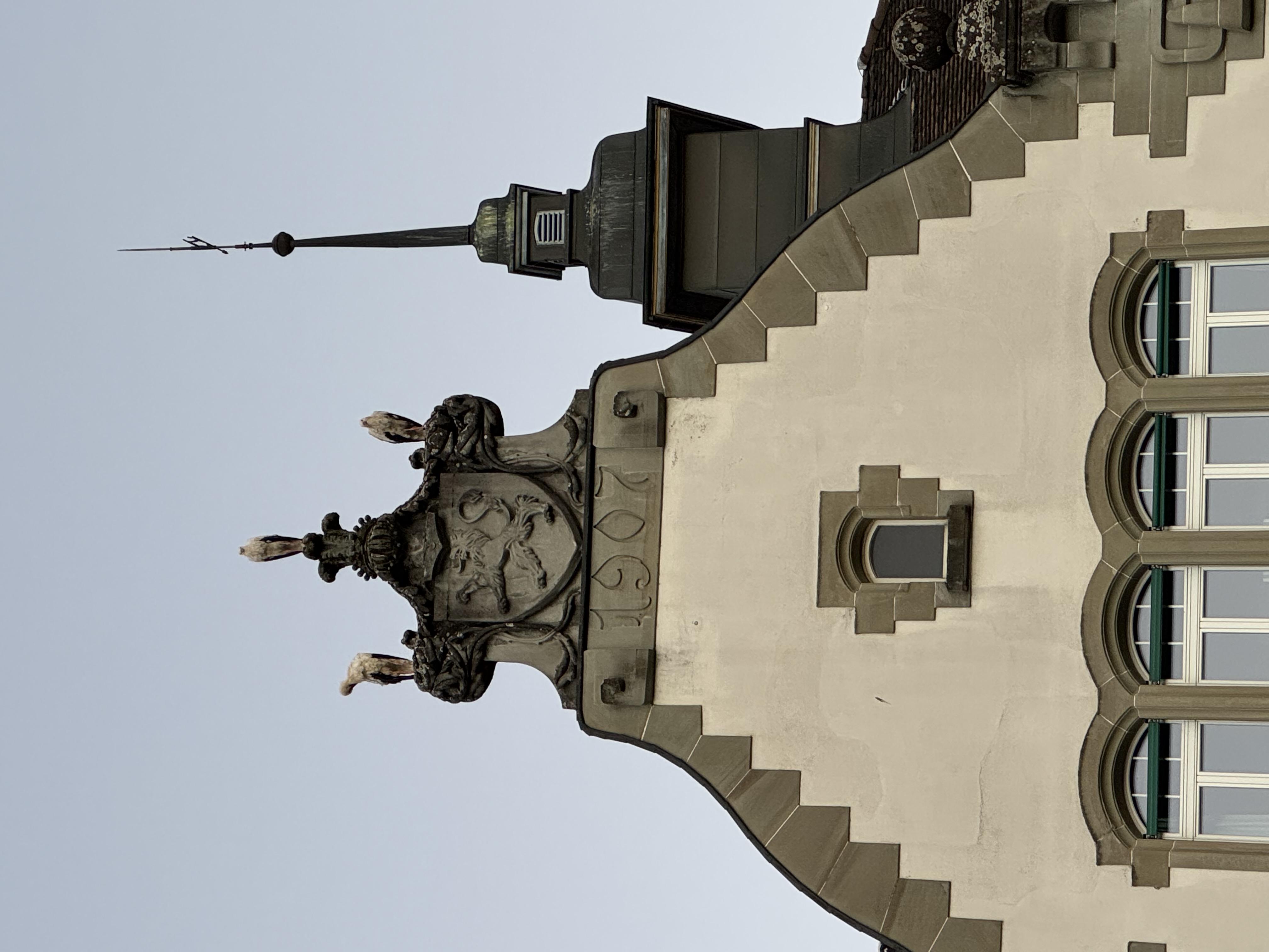 Störche am Morgen auf der Kirche und der Stadtverwaltung