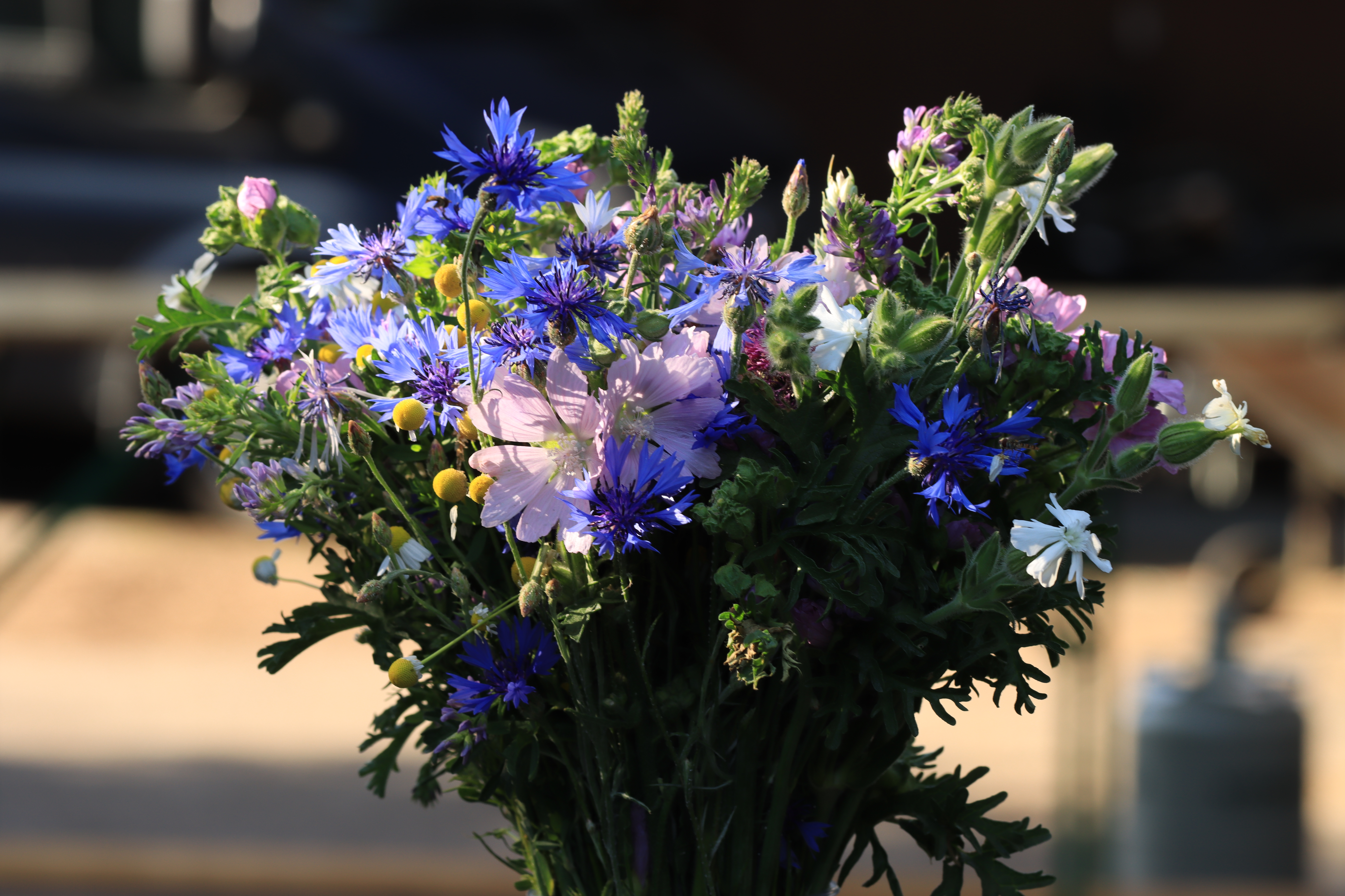 Ein Sträusschen mit Wiesenblumen
