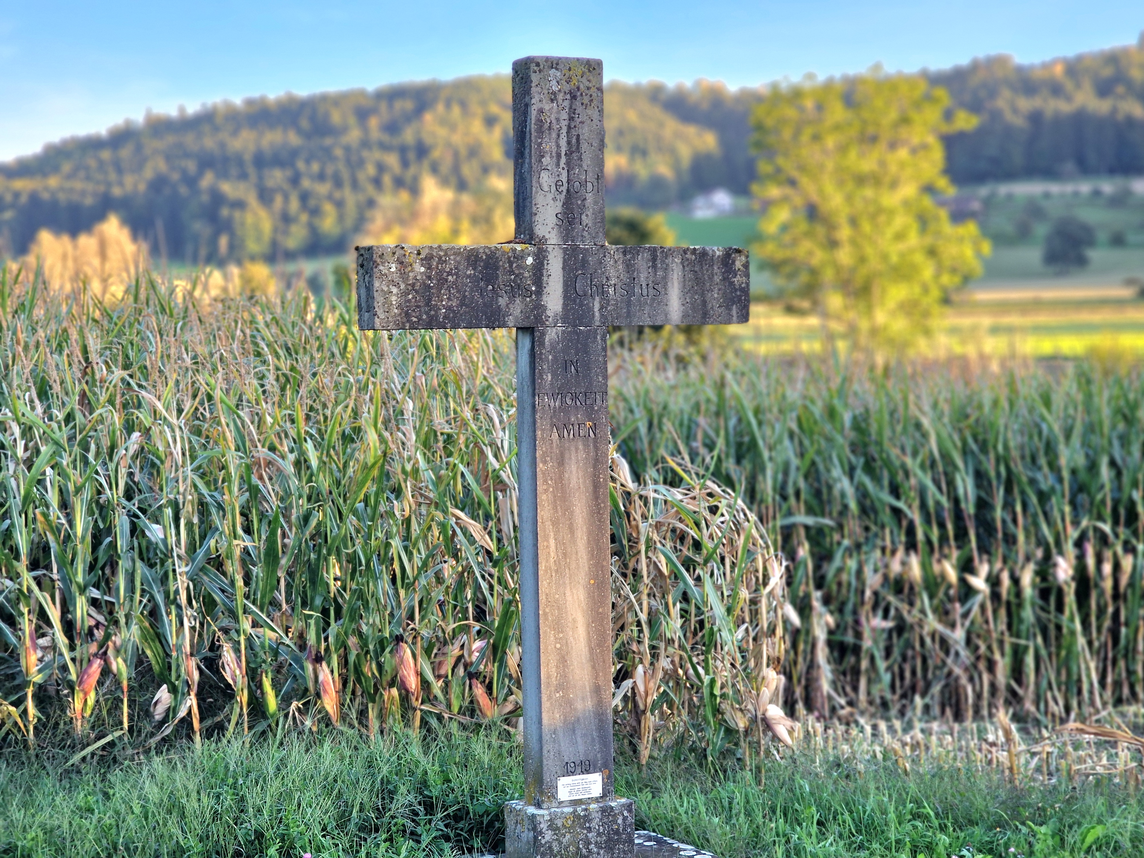 Ein Wegkreuz in der herbstlichen Dagmerseller Landschaft.