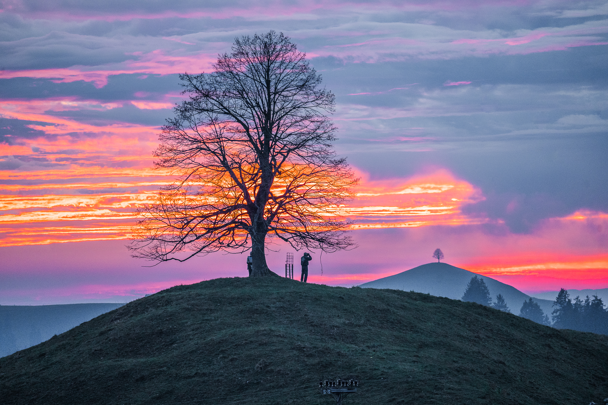 Abendstimmung auf dem Ahorn!