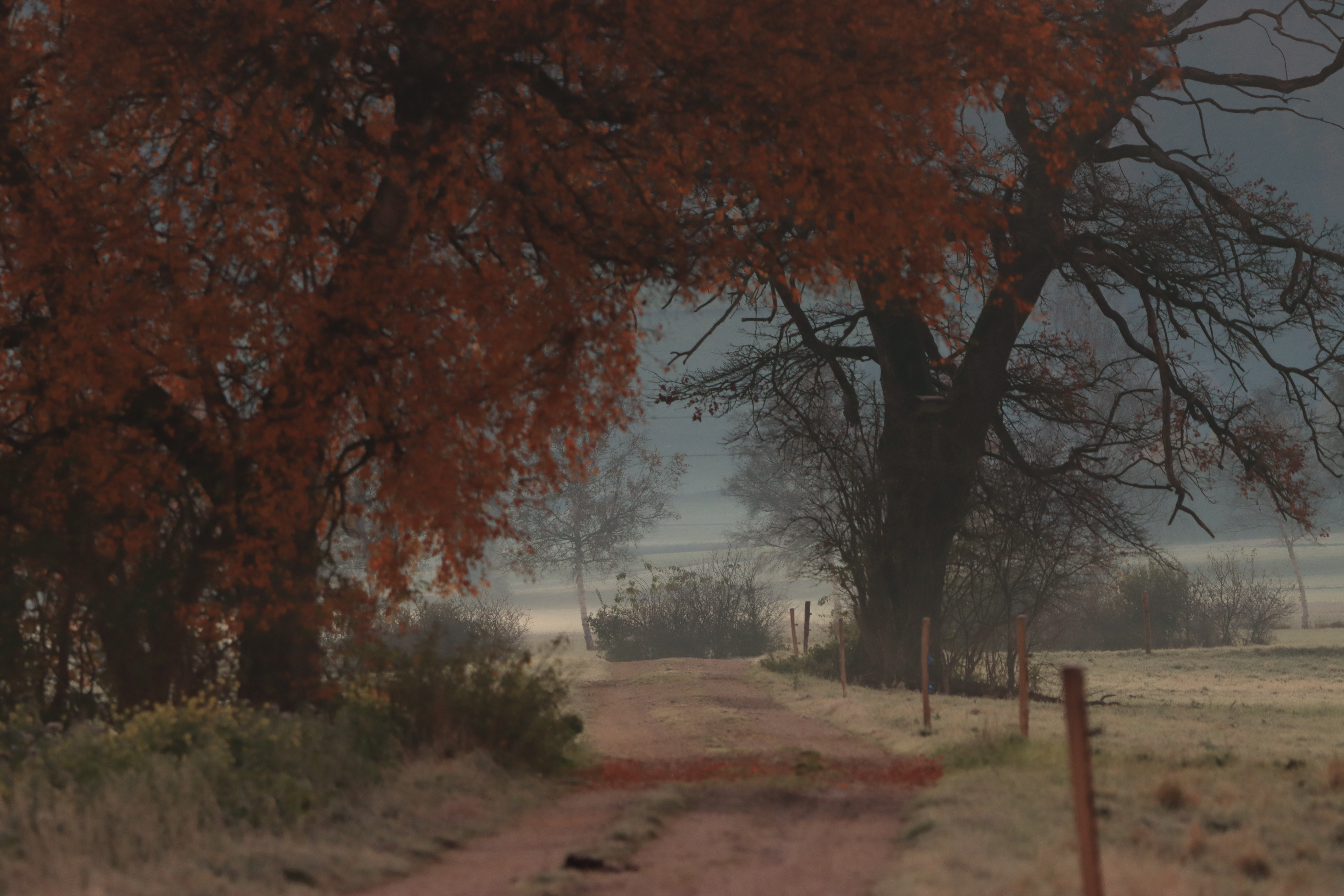 Die Vollmondnacht wird zum Tag