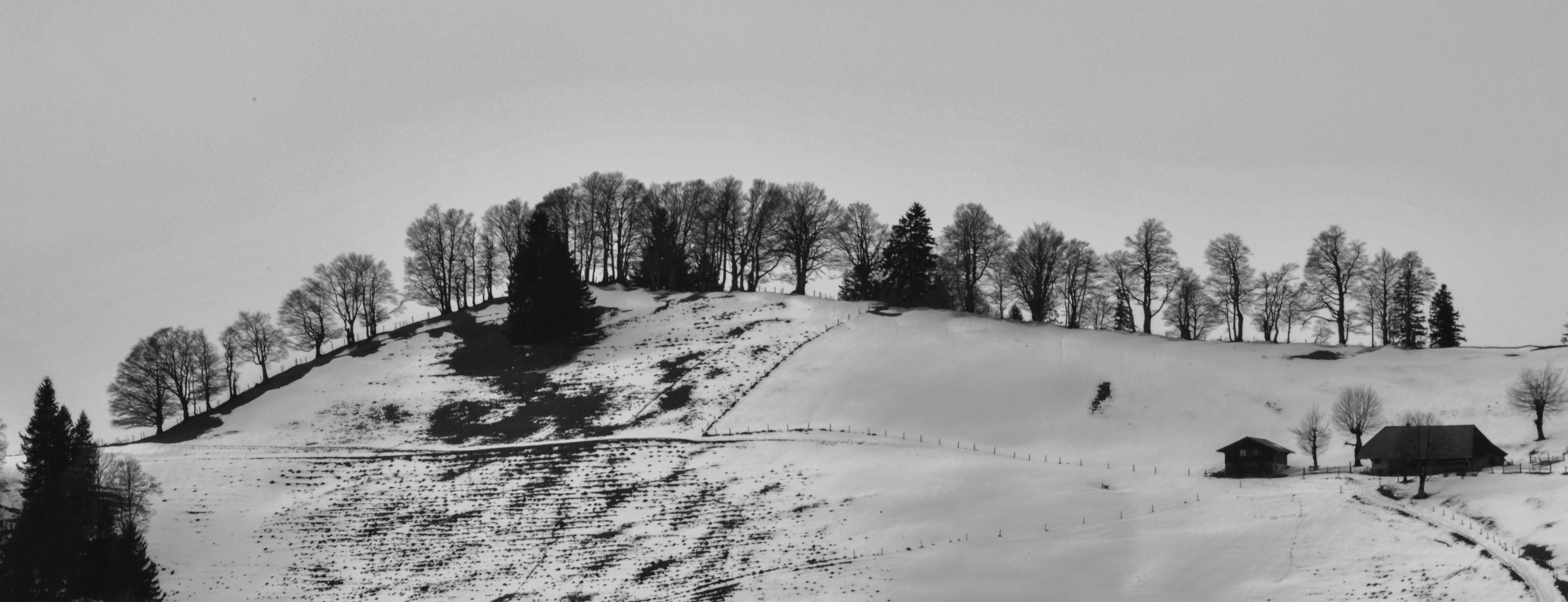 Scherrenschnitt im Napfbergland