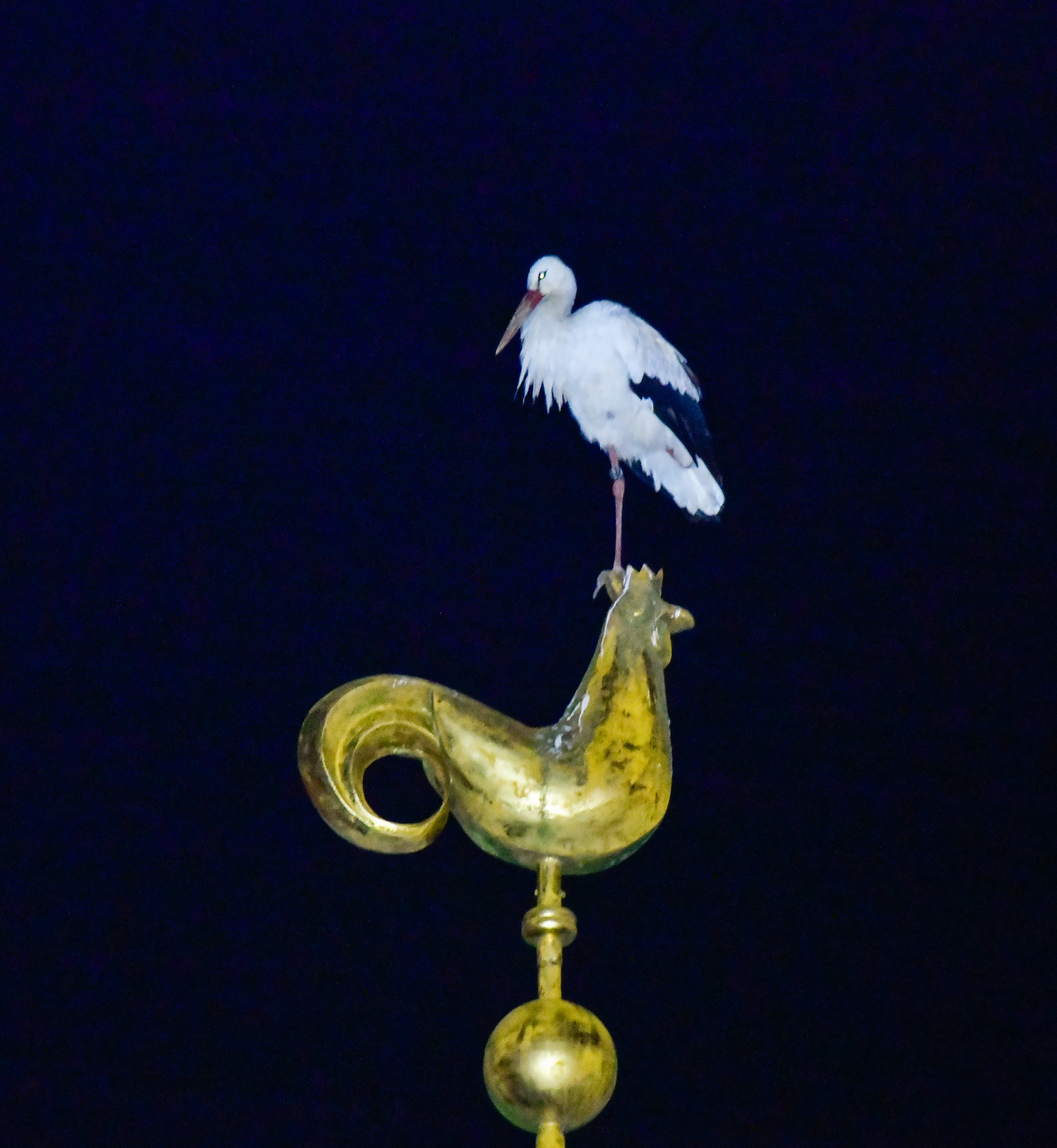 Ein göttliches Nachtlager Ref. Kirche Willisau