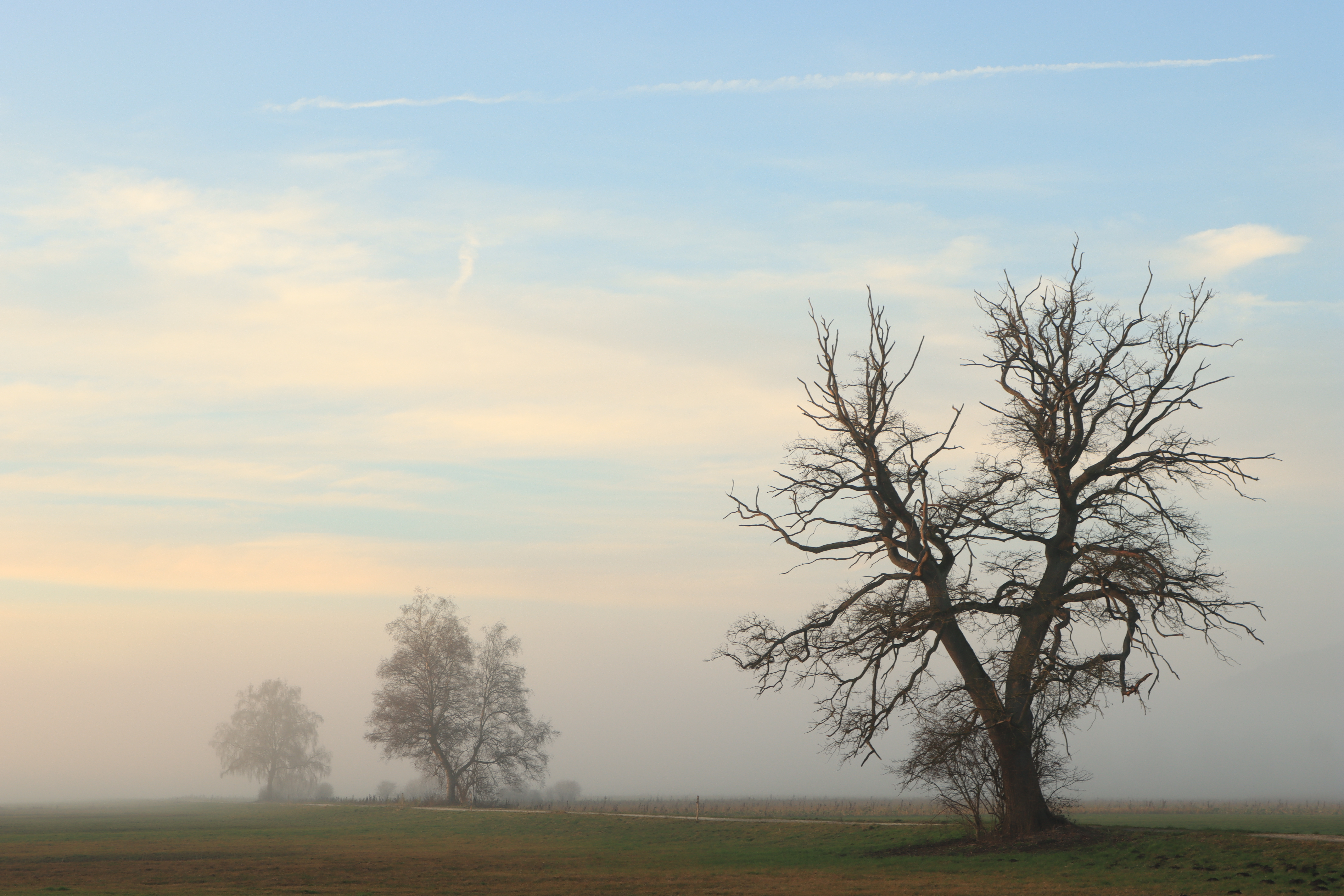 Der Nebel schleicht sich wieder heran