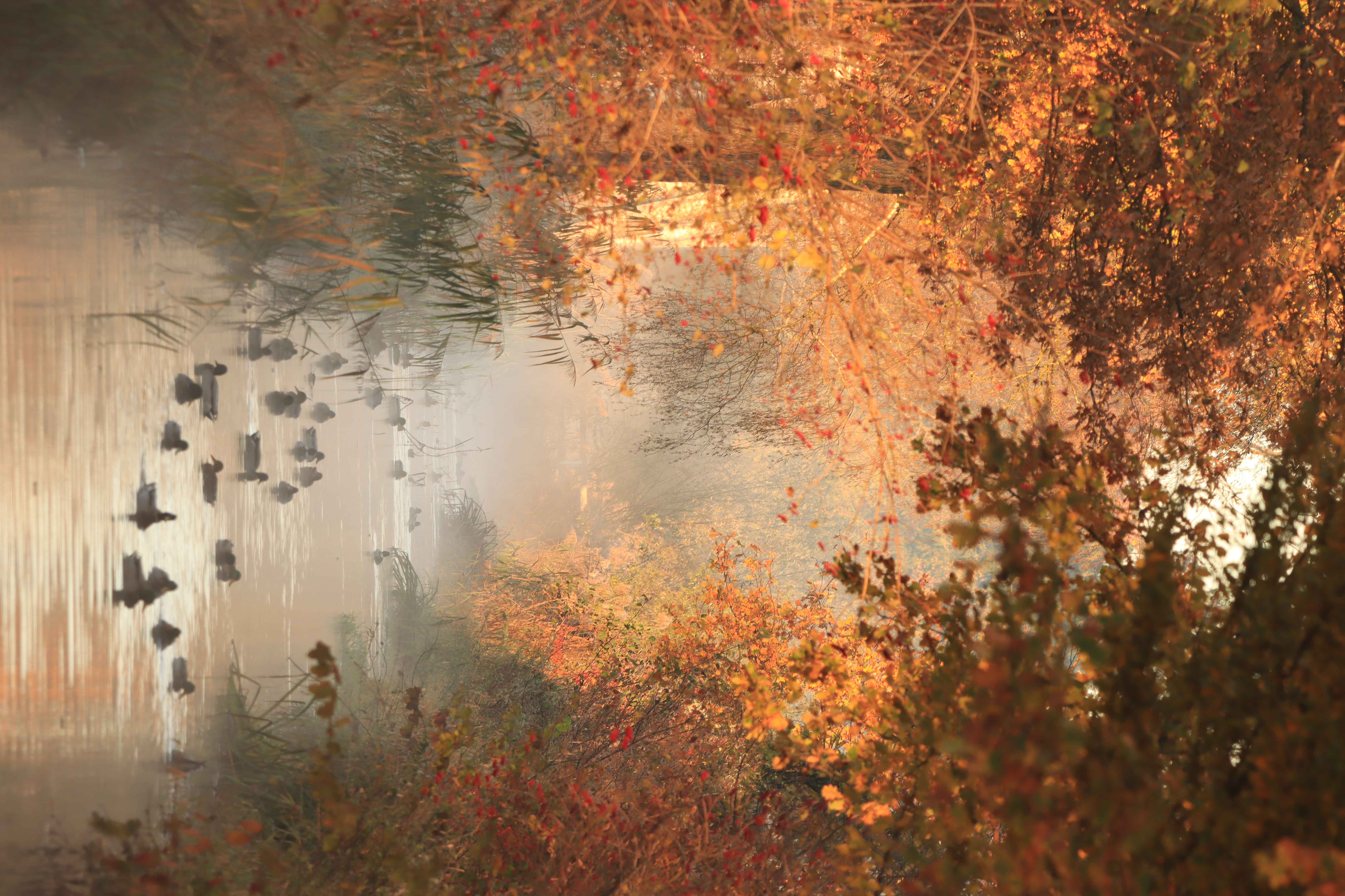 Die Vollmondnacht wurde zum Tag