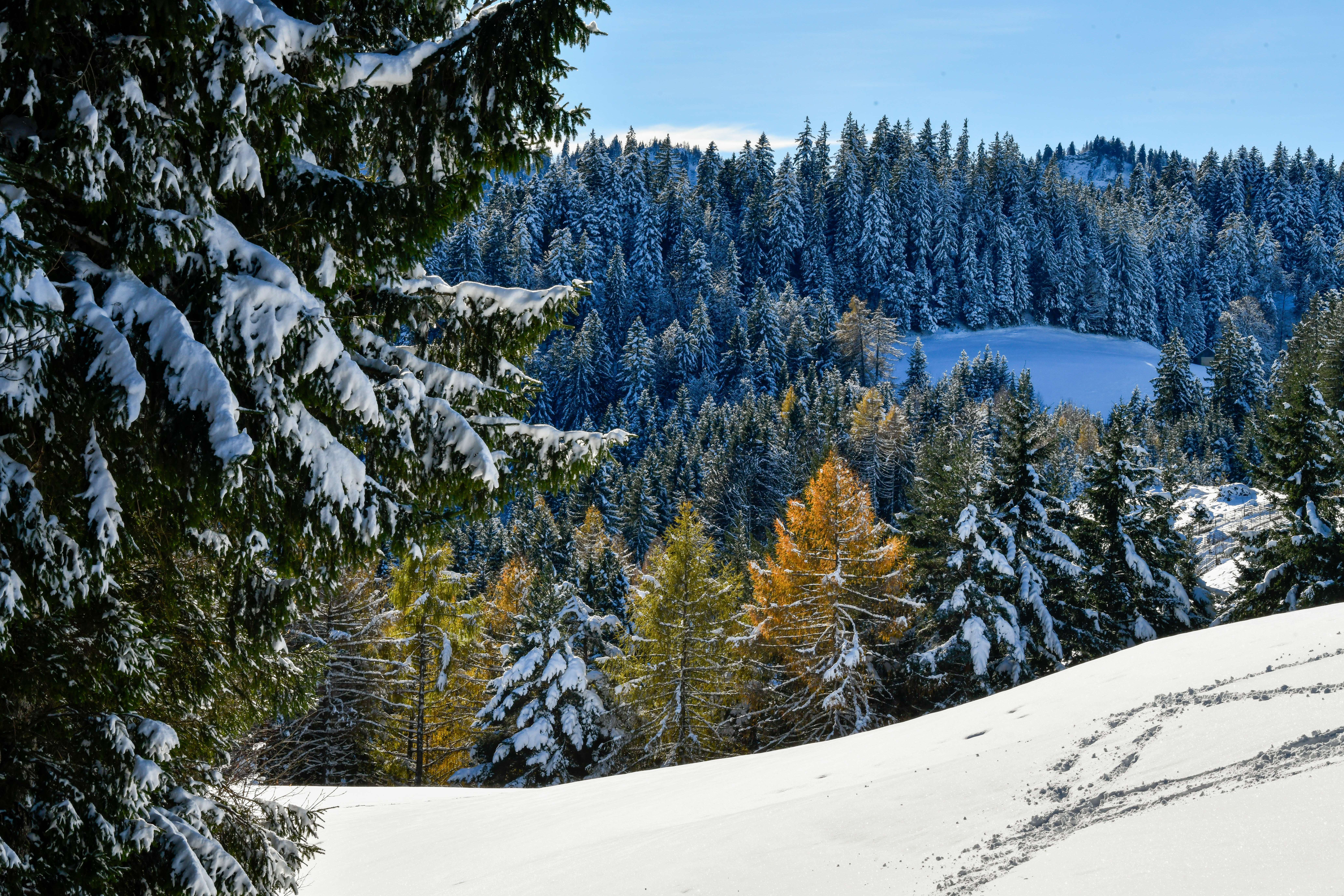 Nicht im Engadin sondern bi üs im Luzerner Hinterland