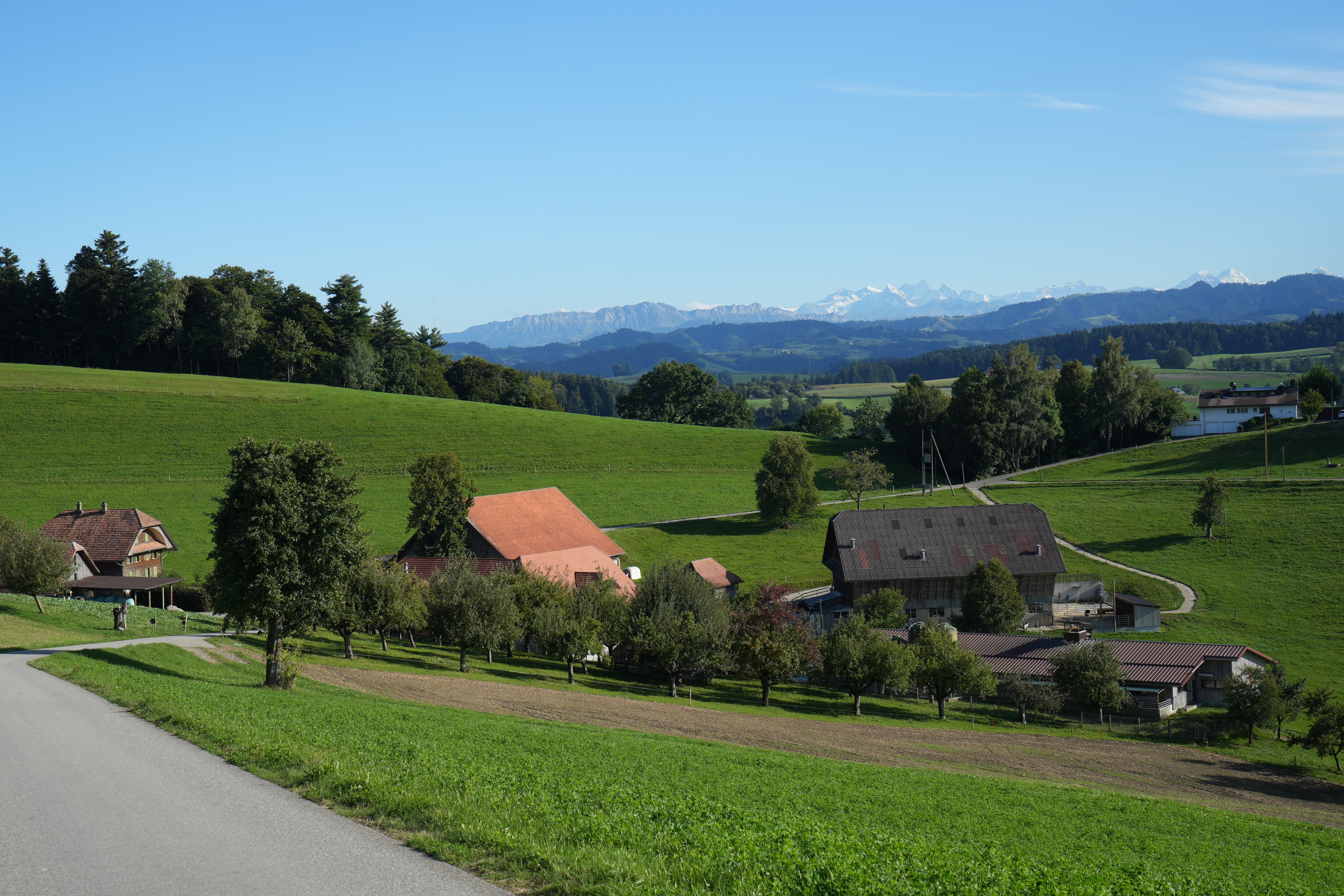 Ob der Bründlen in Zell mit Blick auf die Berner Alpen
