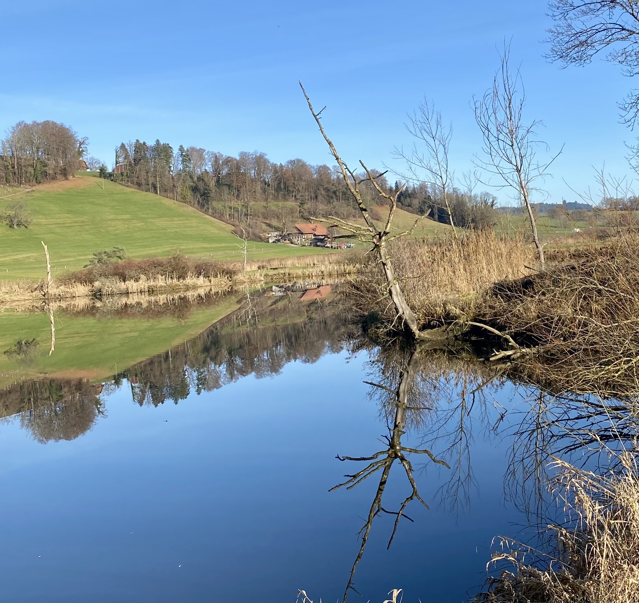 Herbstwanderung im Dezember