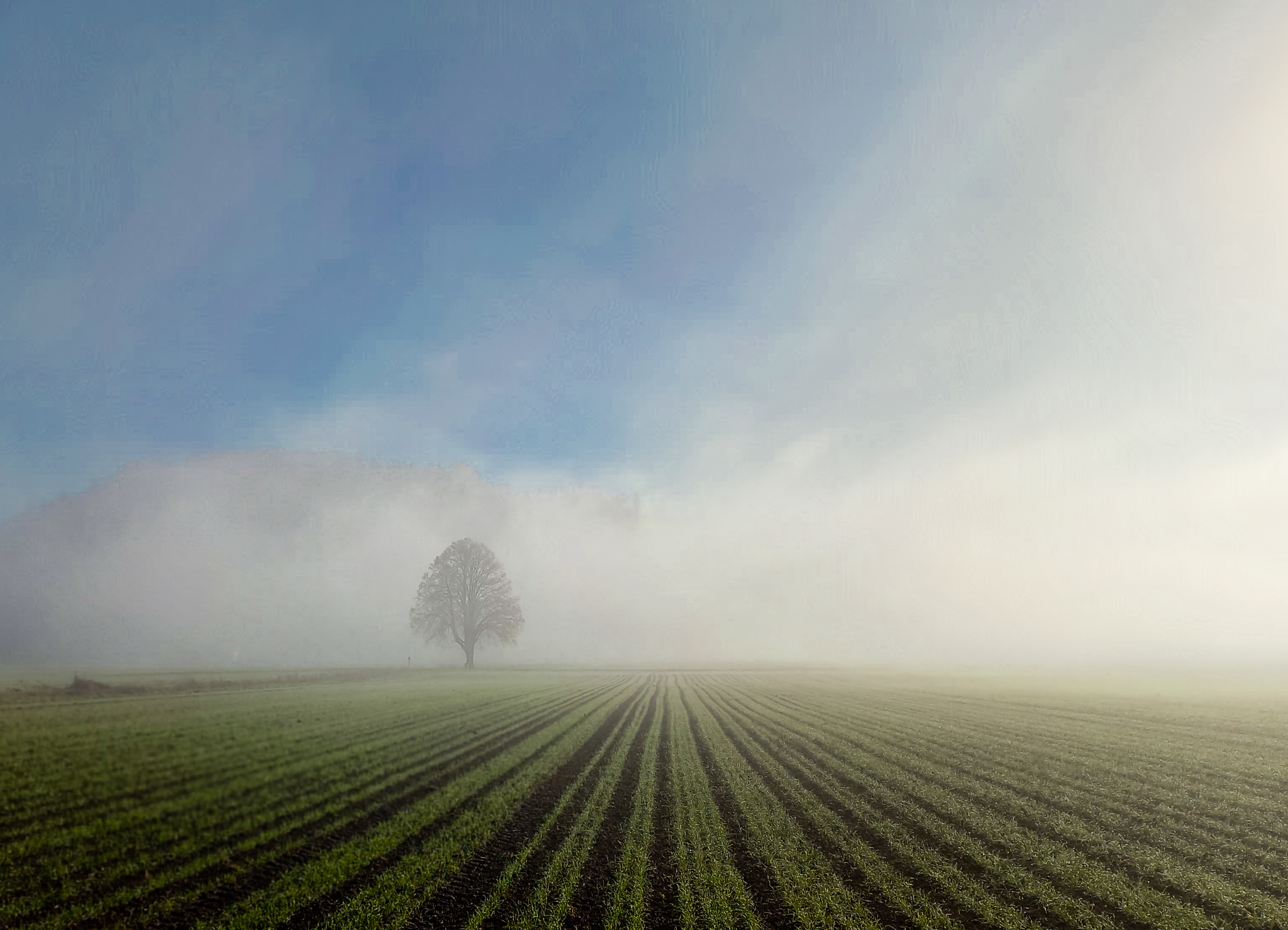 Kampf zwischen Nebel und Sonne