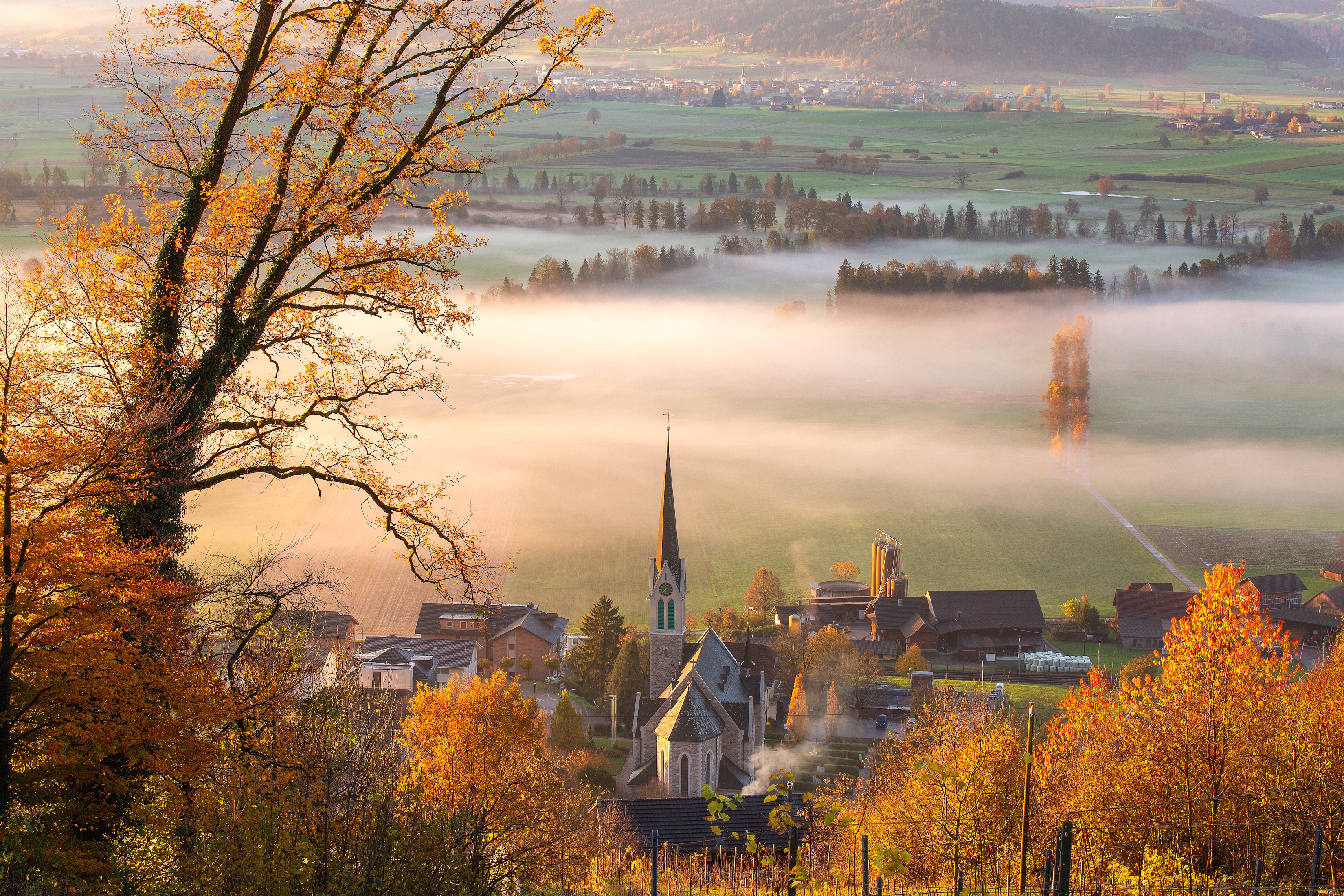 Goldene Blätter und sanftes Licht .....