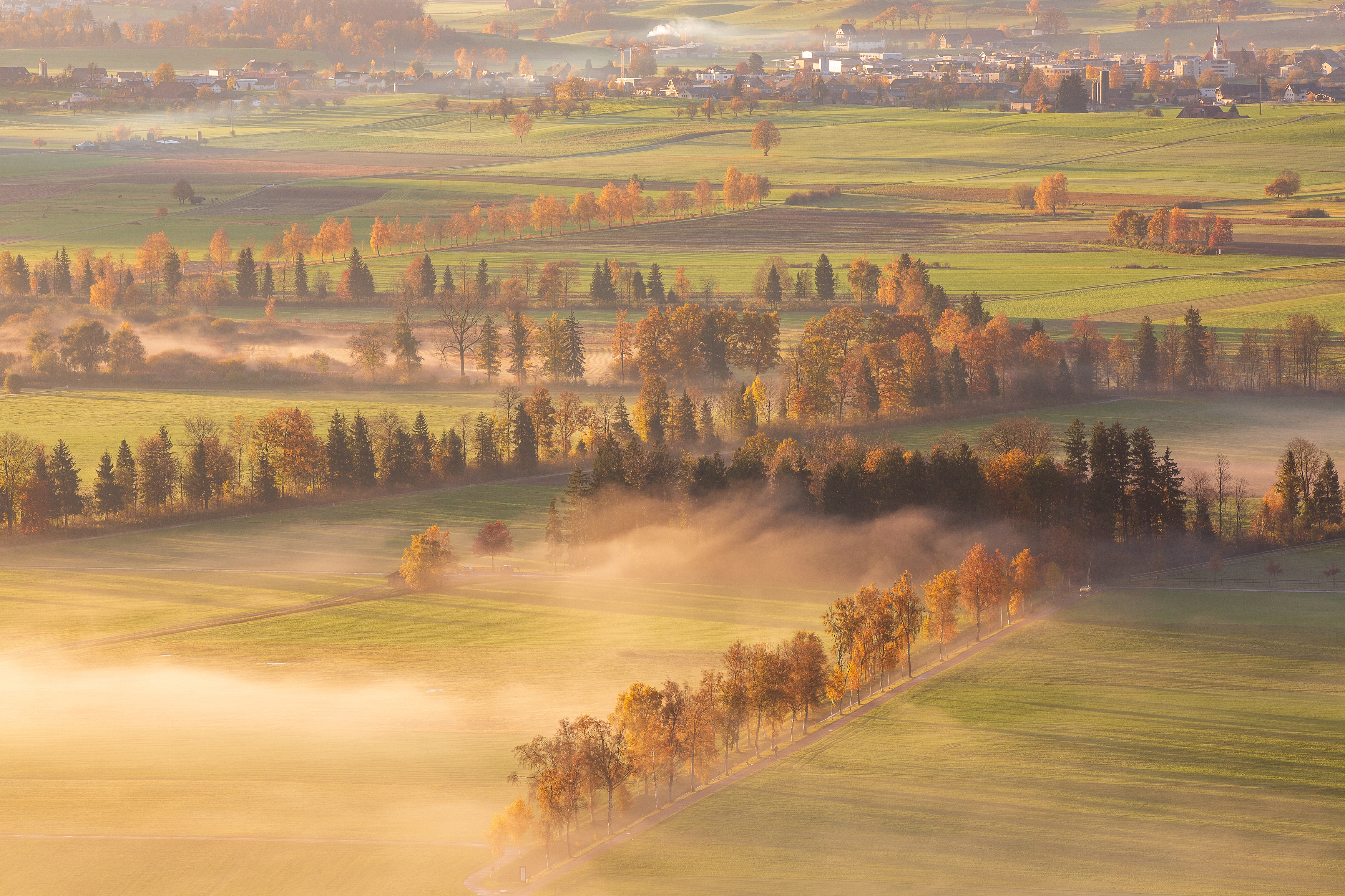 Herbstfarben in der Wauwiler Ebene