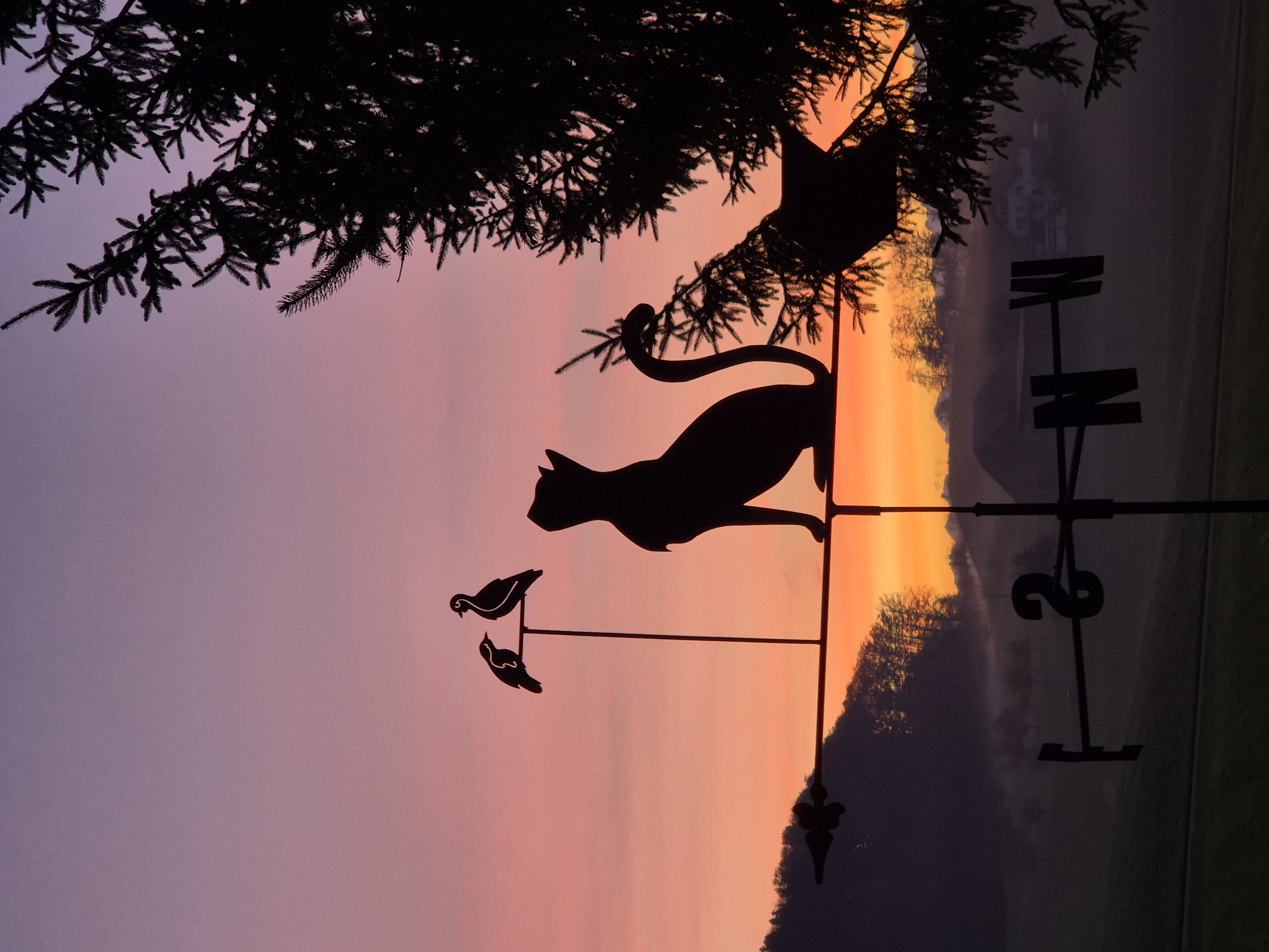 Ein neuer Tag beginnt...