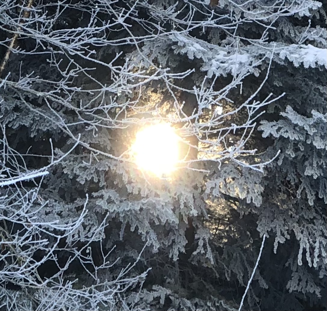 Märchenhaft schön ./ 3:Sonne findet Durchblick