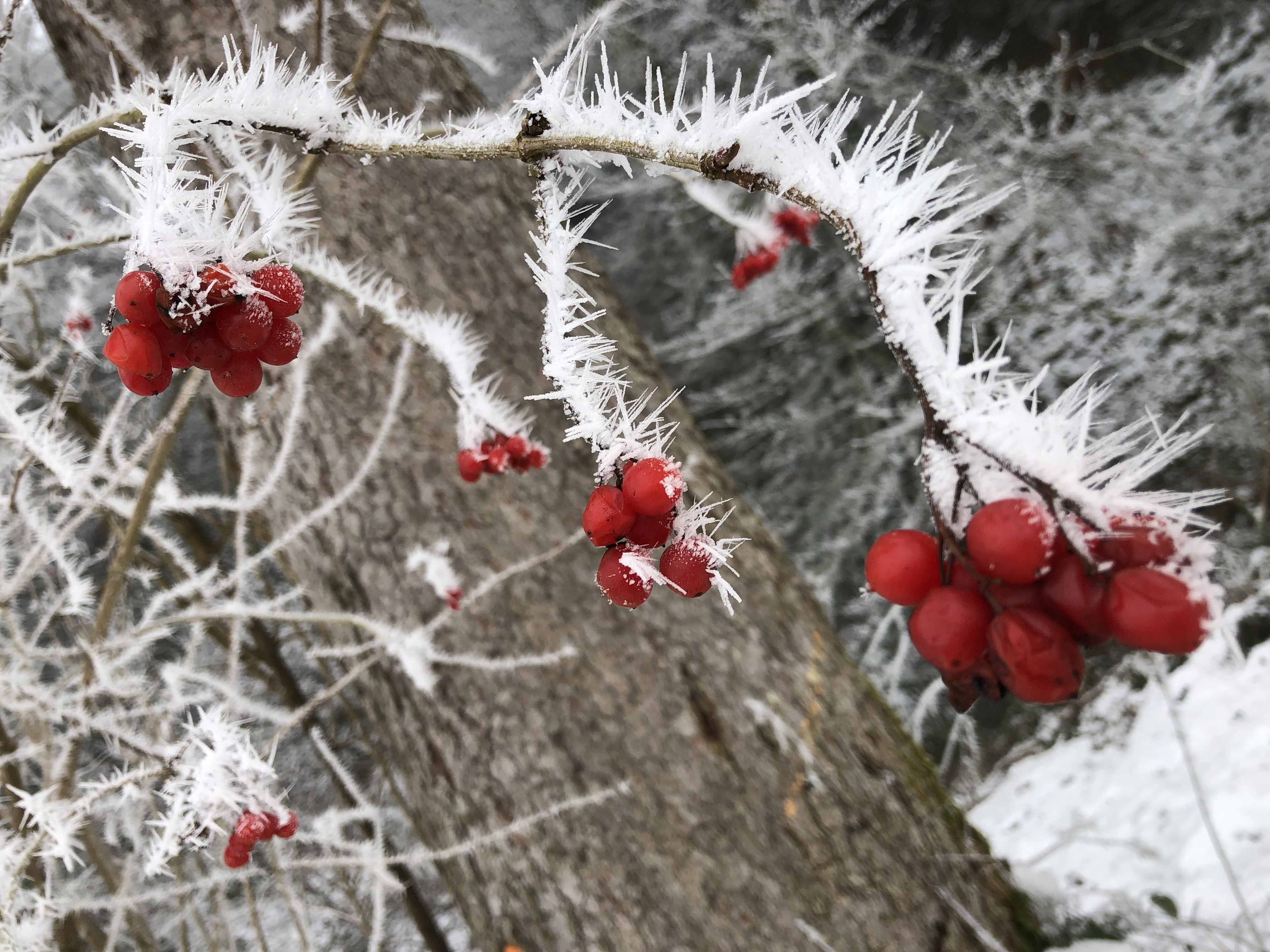Märchenhaft schön ./ 3:Sonne findet Durchblick