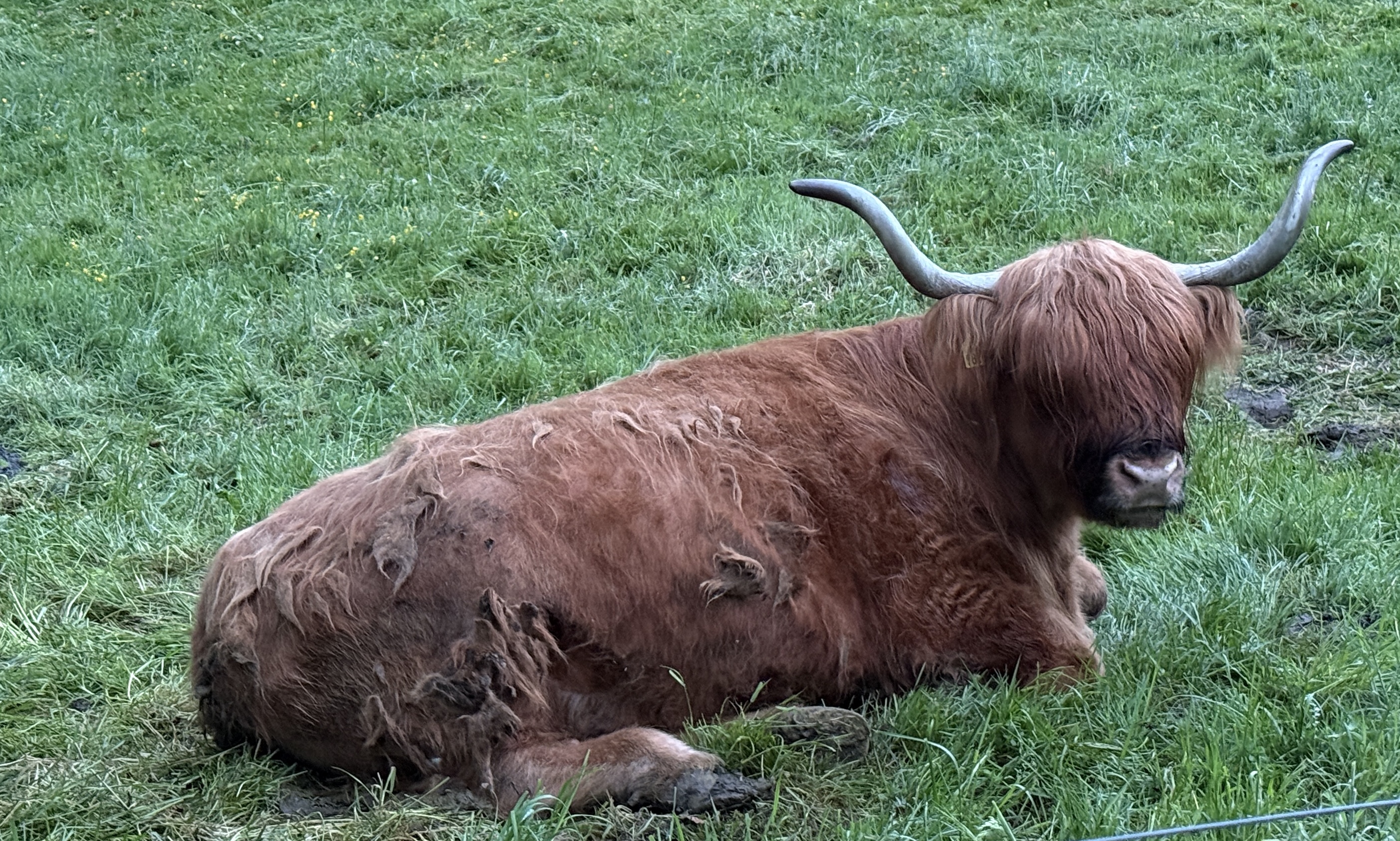 Morgens, am aufwachen ….