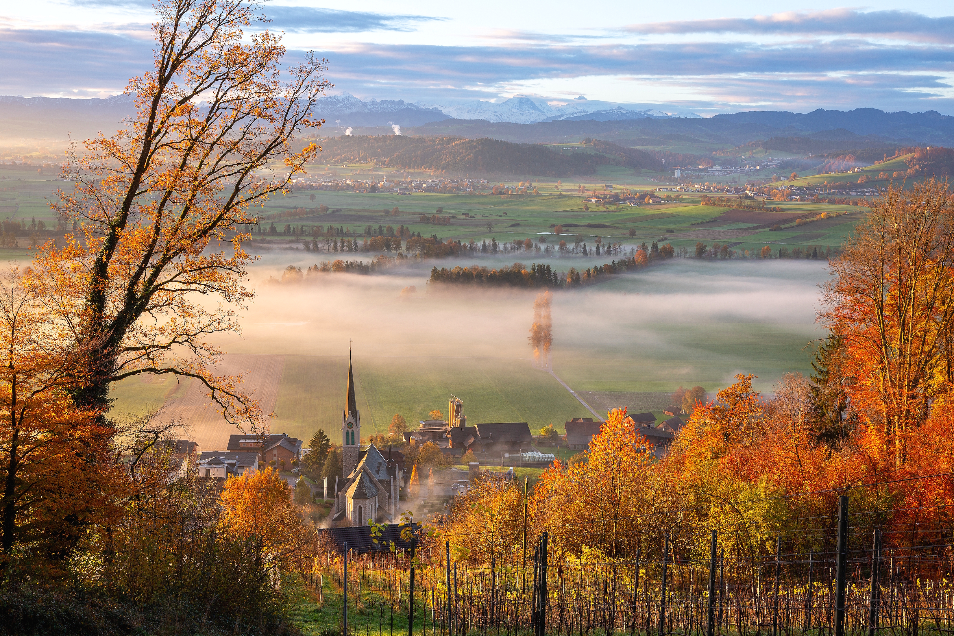 Goldene Blätter und sanftes Licht .....