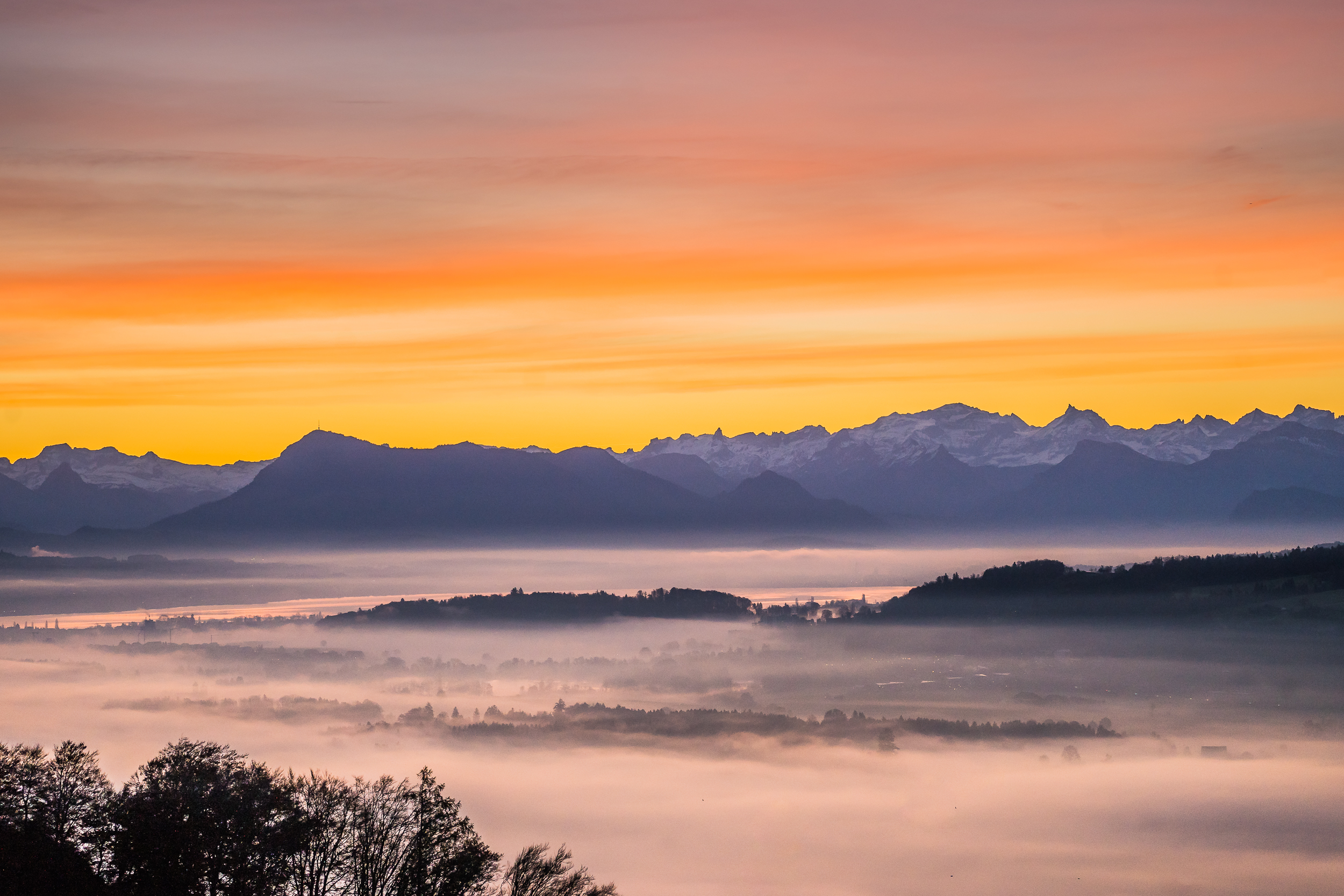 Morgenstimmung über dem Nebel!