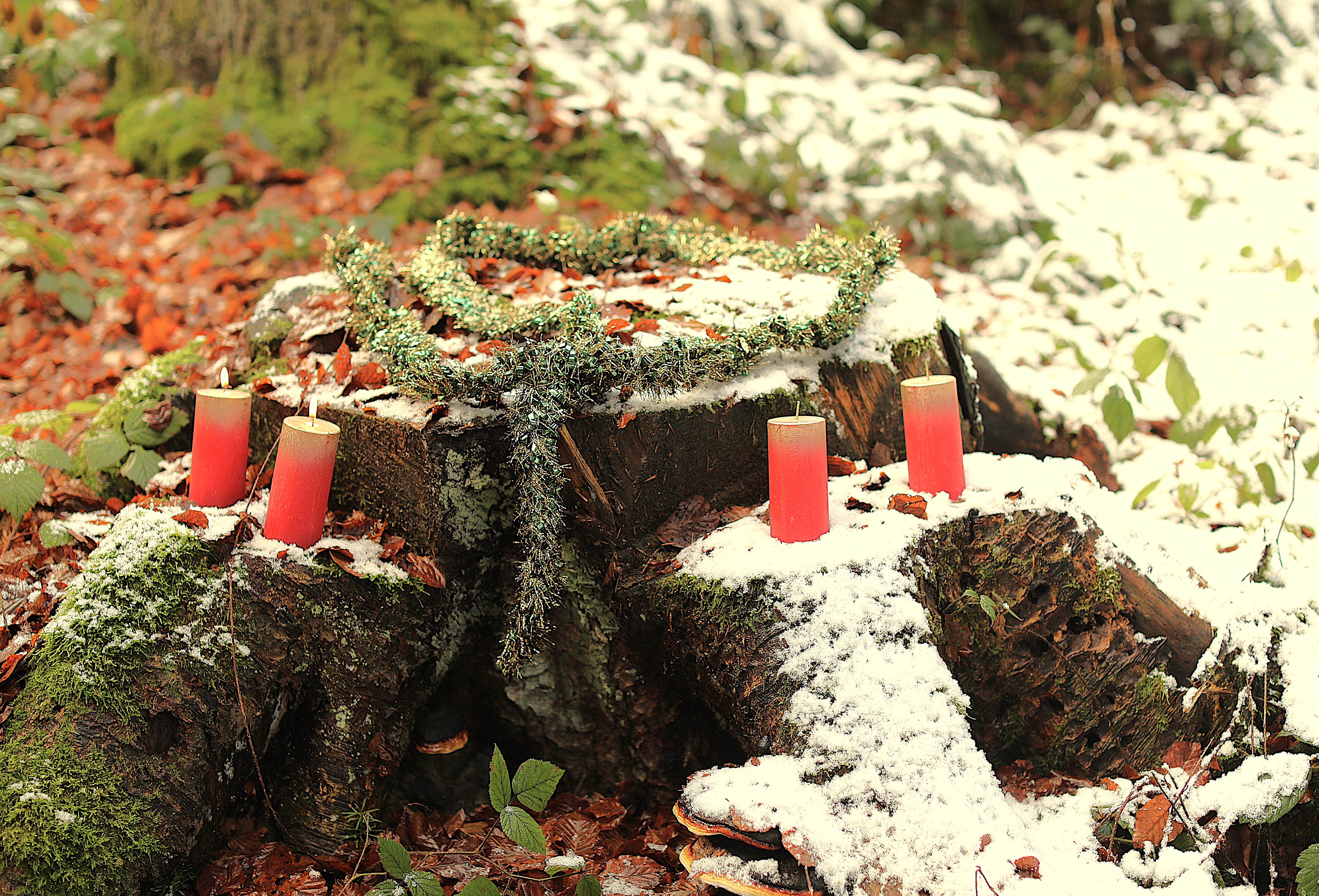 2. Advent - Schritt für Schritt Weihnachten 2025 entgegen