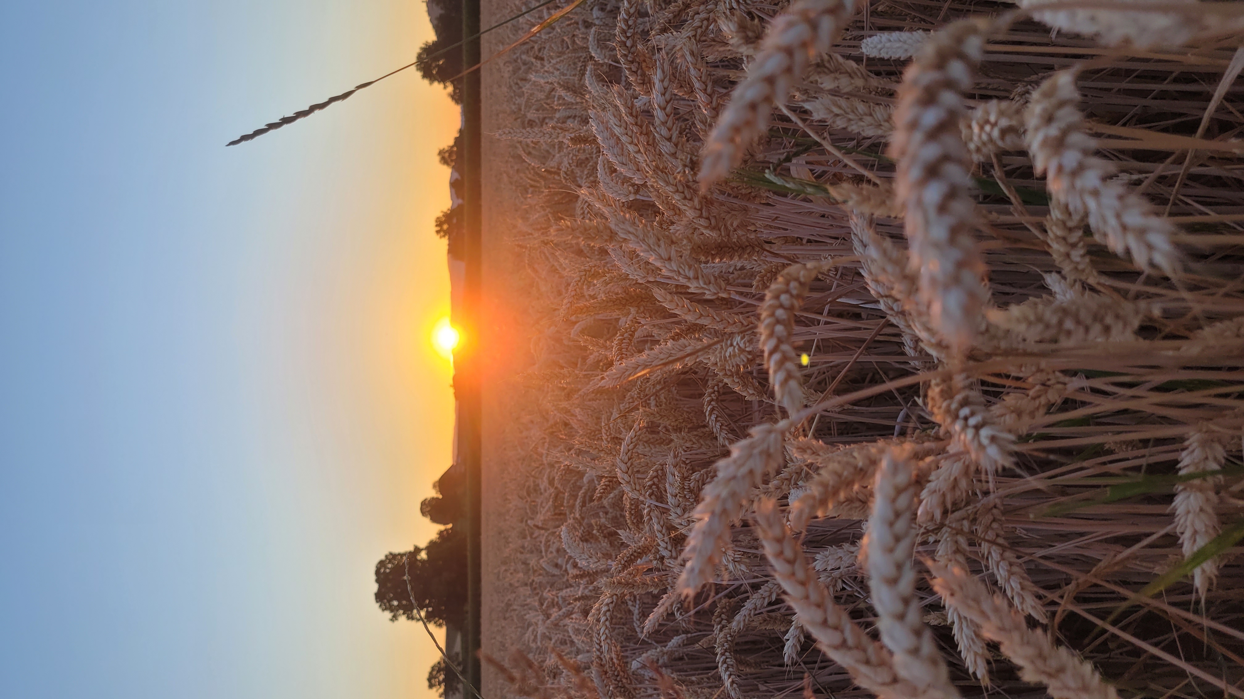 Sonnenaufgang