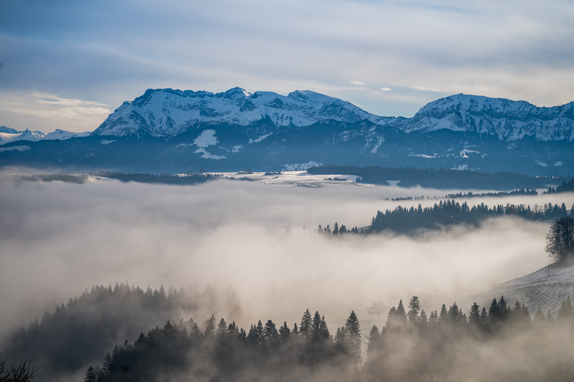 Der Nebel kommt und geht auf dem Menzberg!