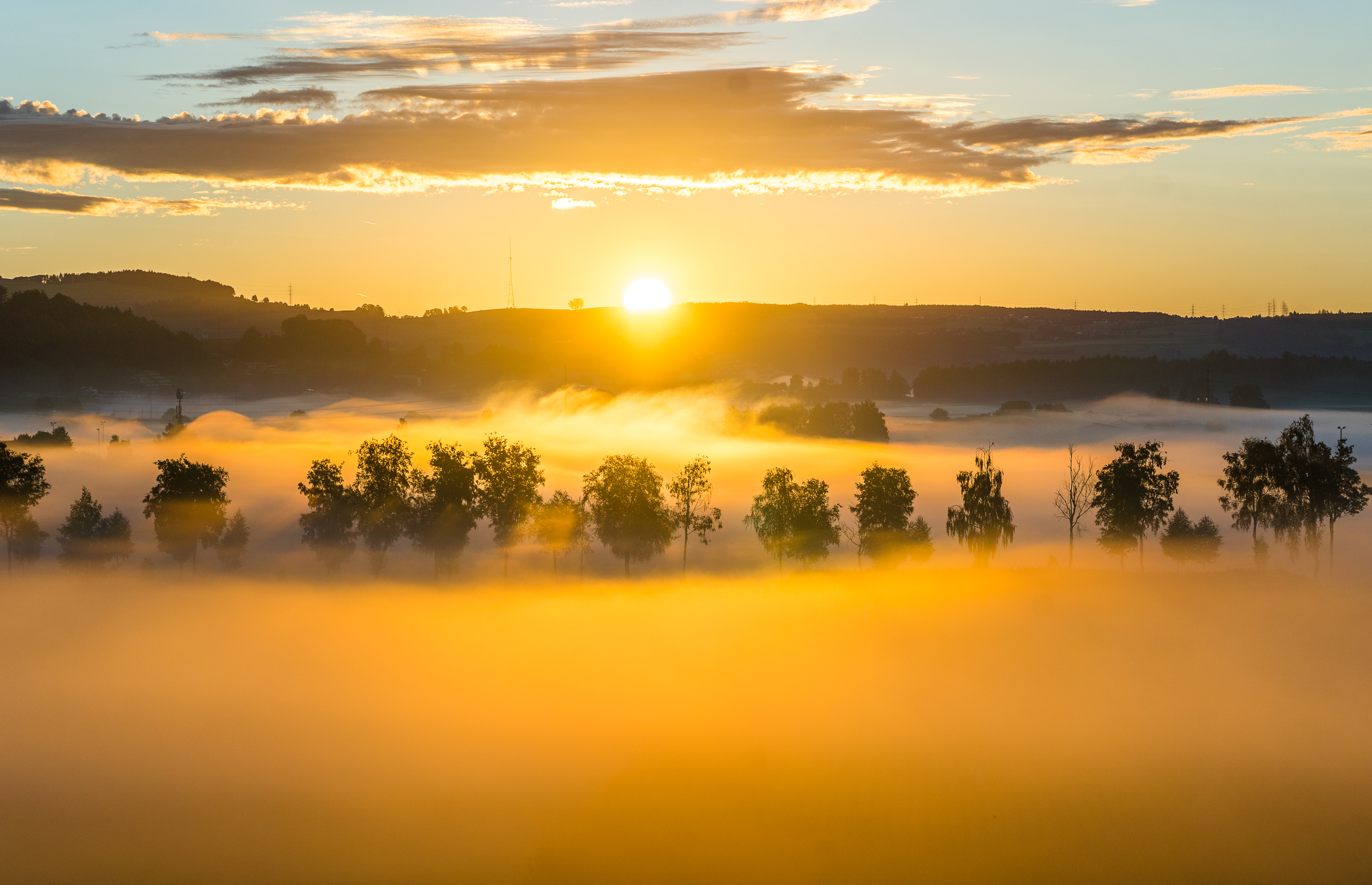 Traumhafter Sonnenaufgang über der Birkenallee!