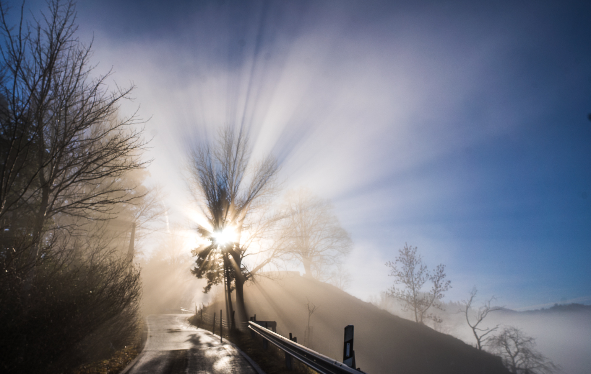 Die Sonnenstrahlen durchdringen den Nebel!