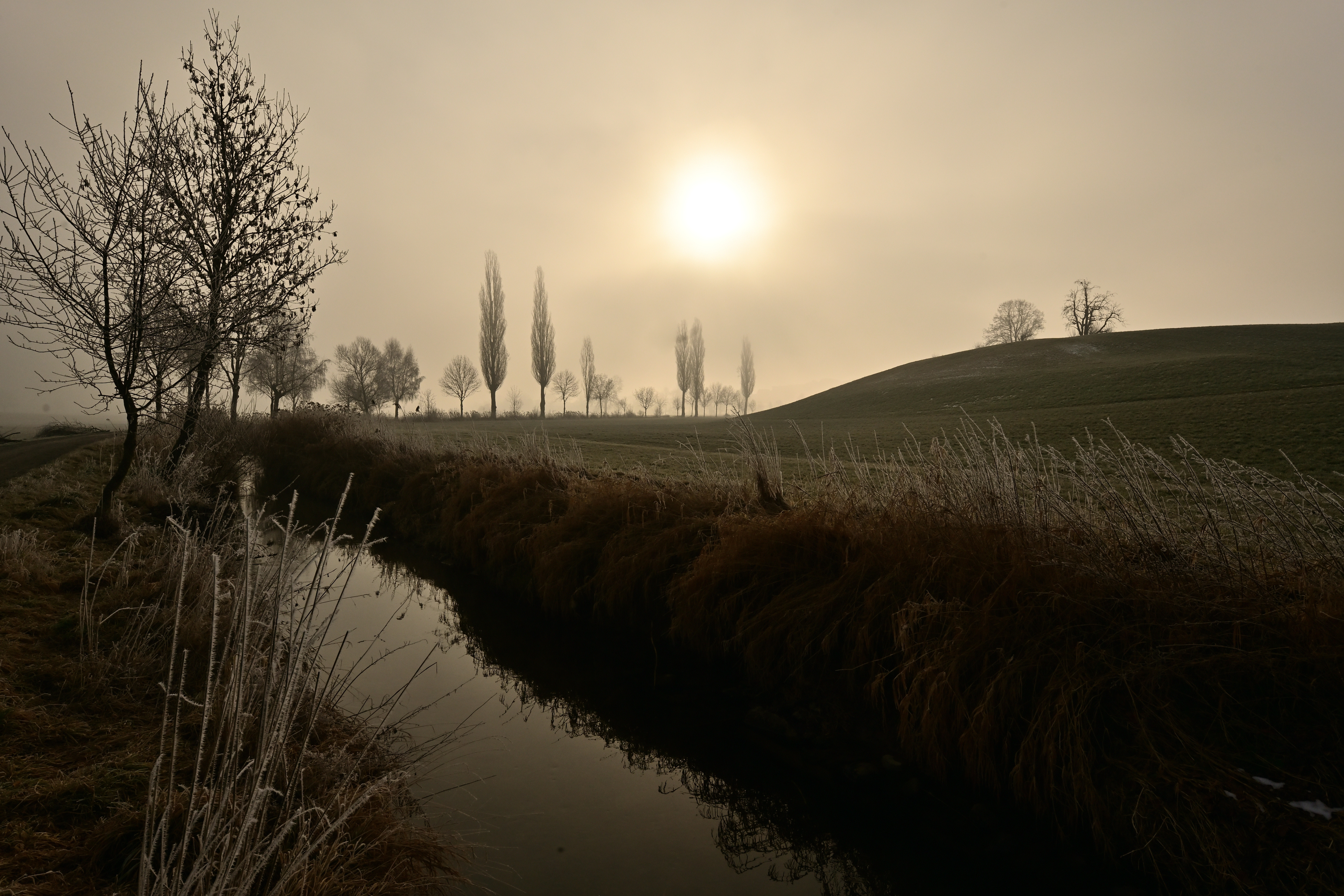 Ein Traumhafter Morgen mit einer Brise Nebelschaden