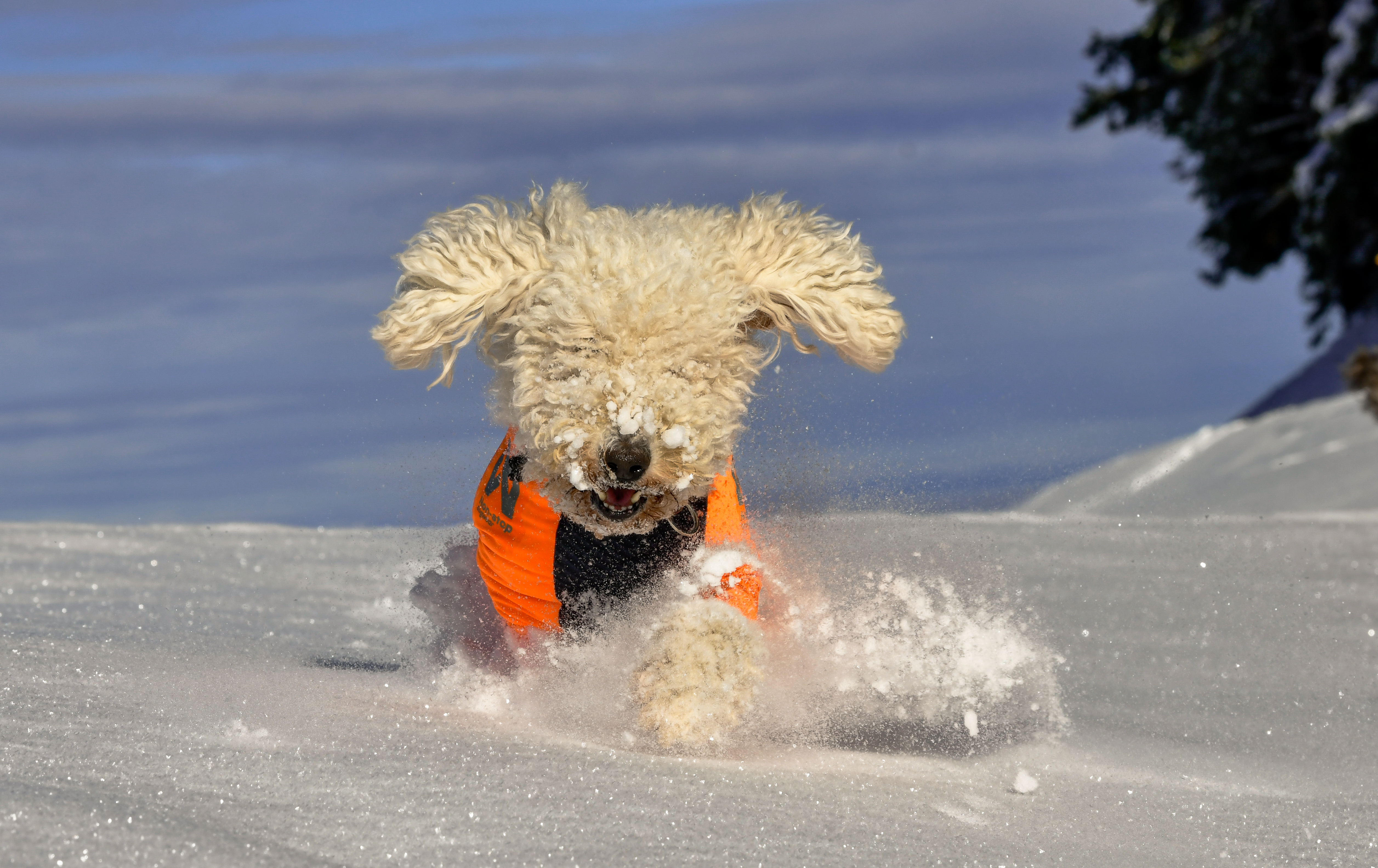 So schön kann Pulverschnee sein