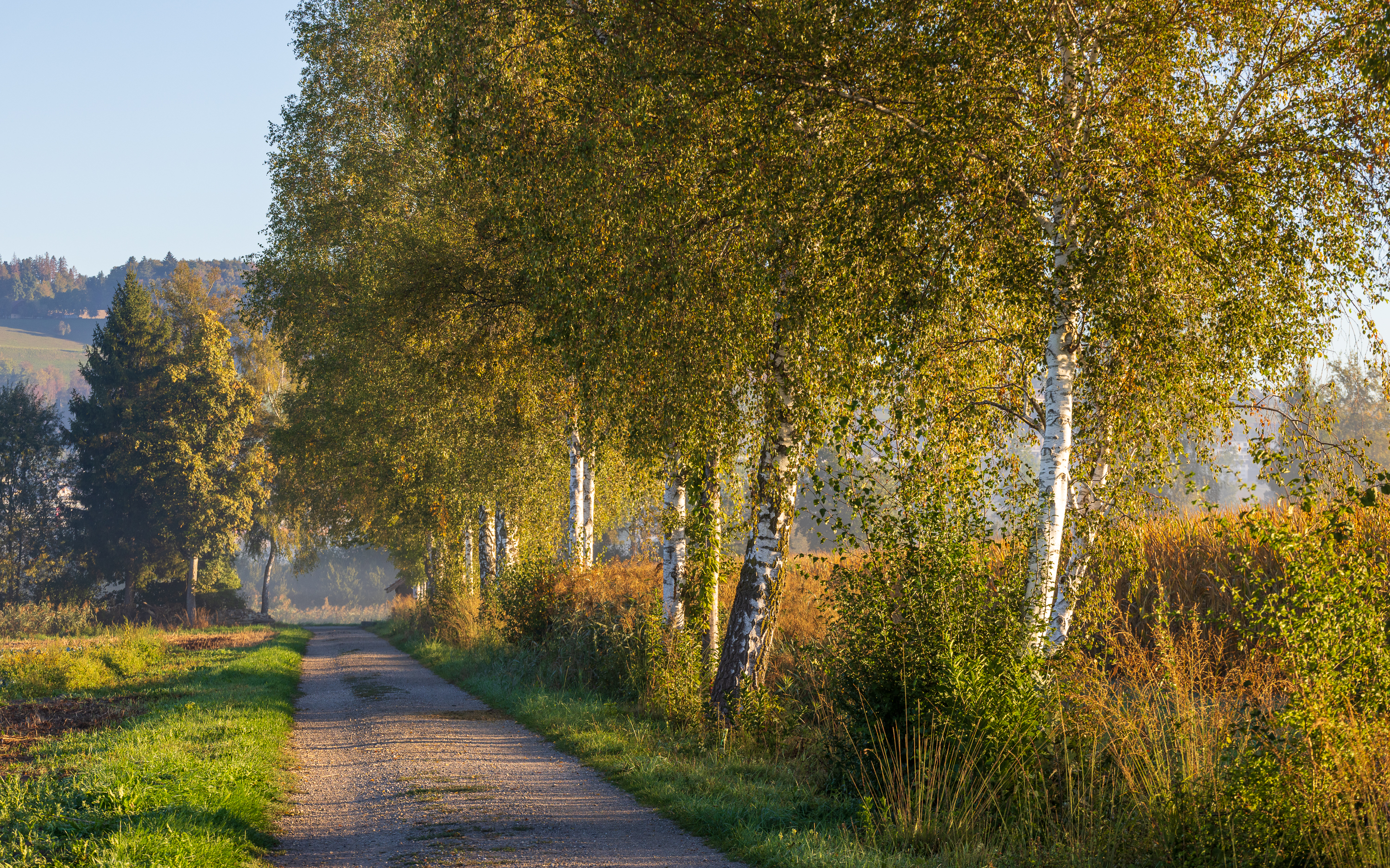 Herbstbeginn in sanften Farben