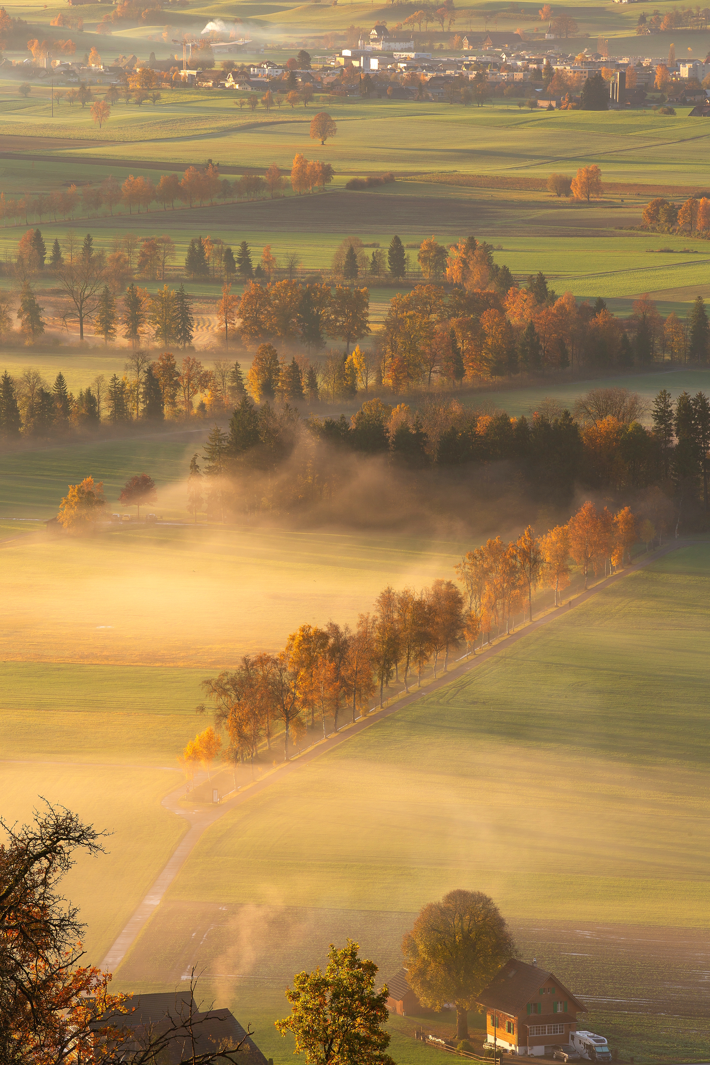 Herbstfarben in der Wauwiler Ebene