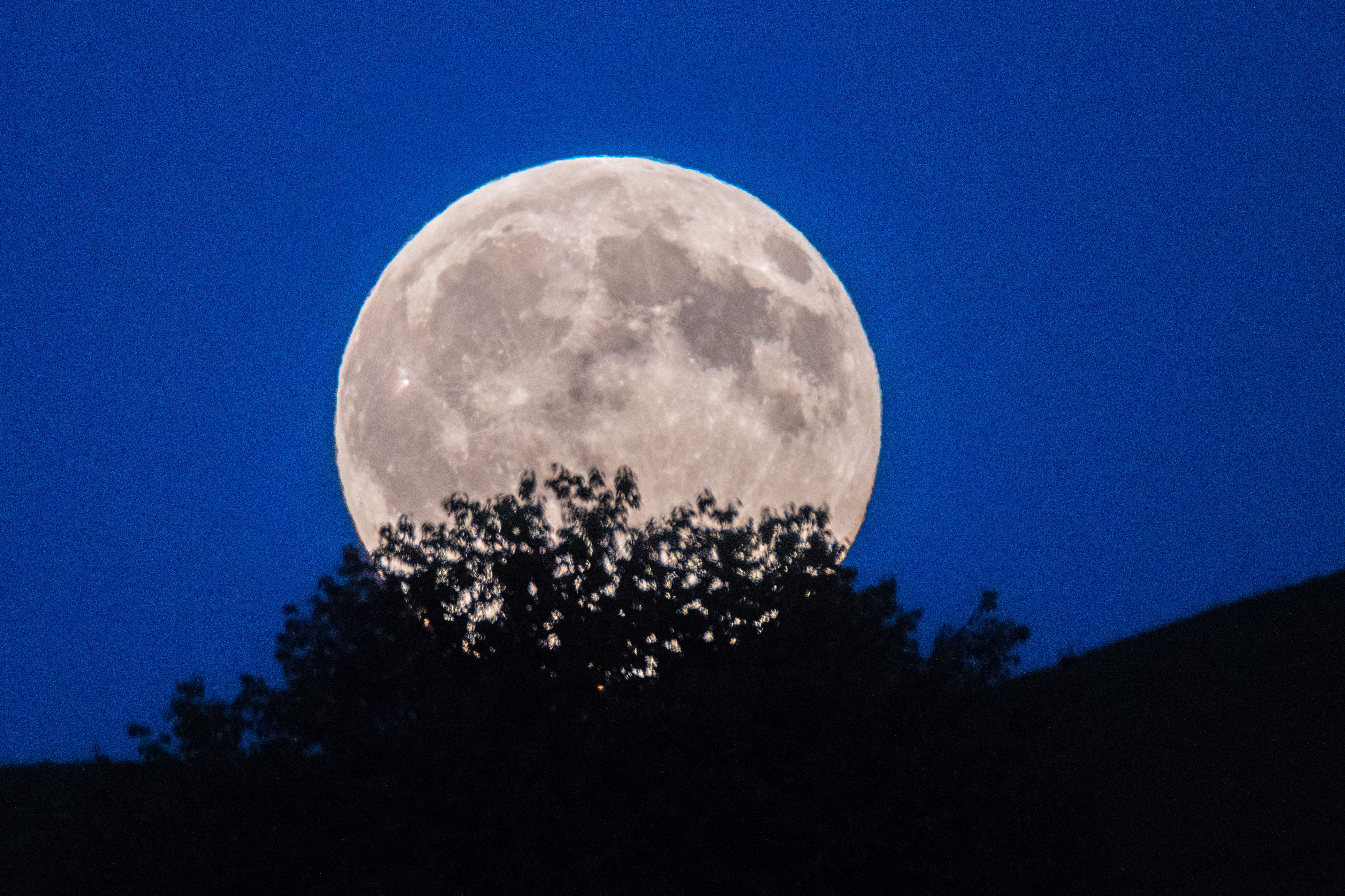 Der Vollmond nahe der Tagundnachtgleiche heisst «Erntemond».