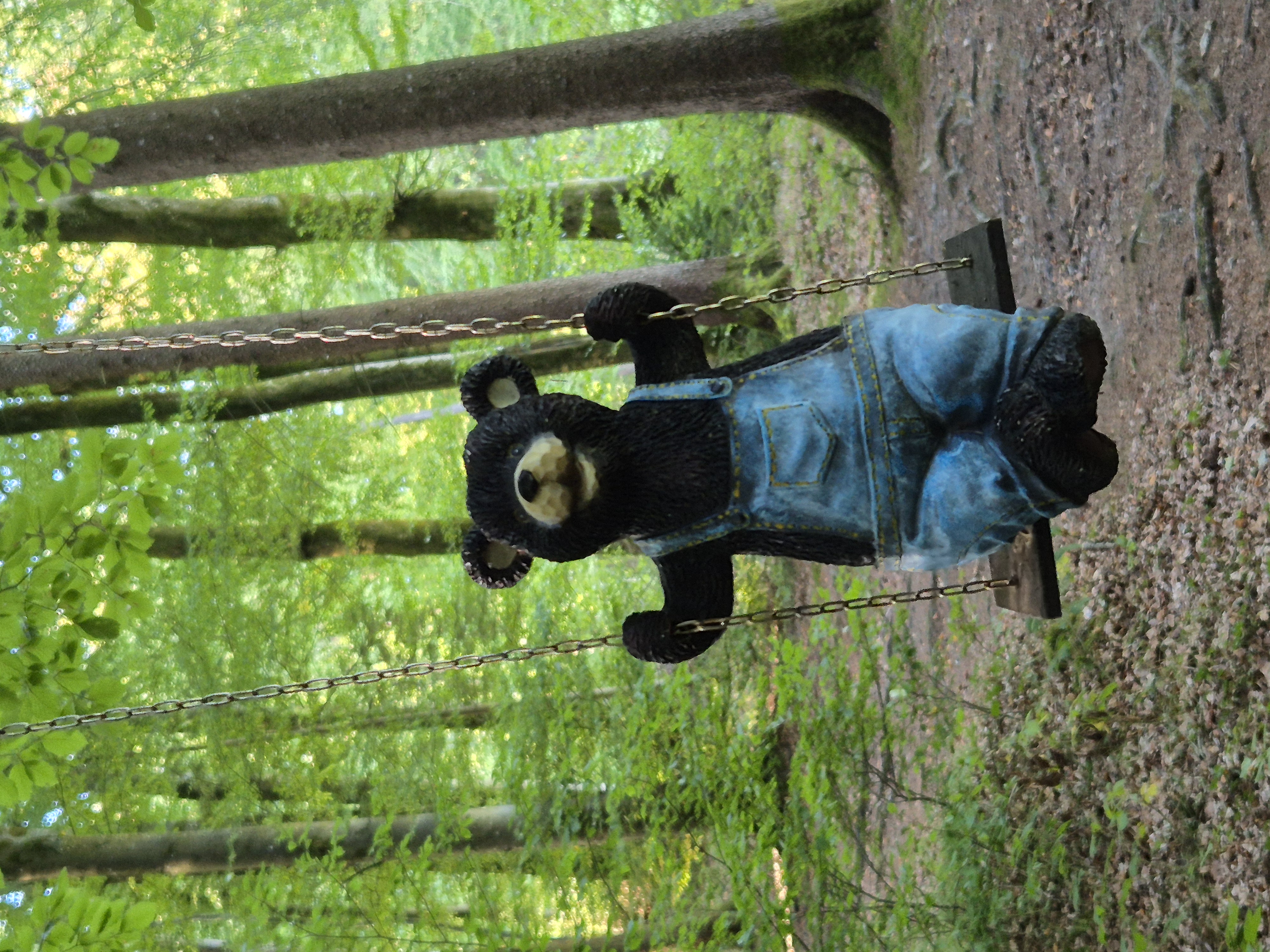 Herzige Ablenkung entdeckt beim Waldspaziergang.