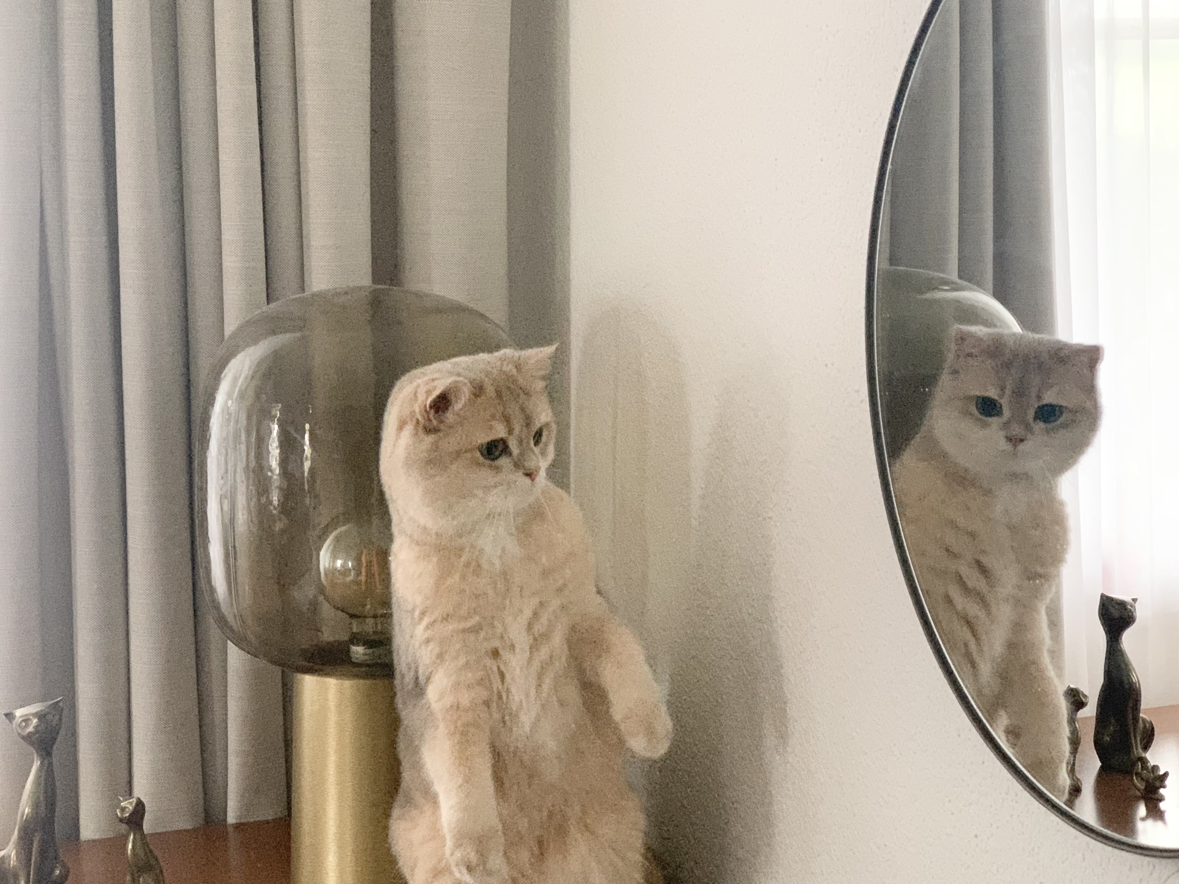 Tacolina staunt: Hab ich plötzlich einen Zwilling?