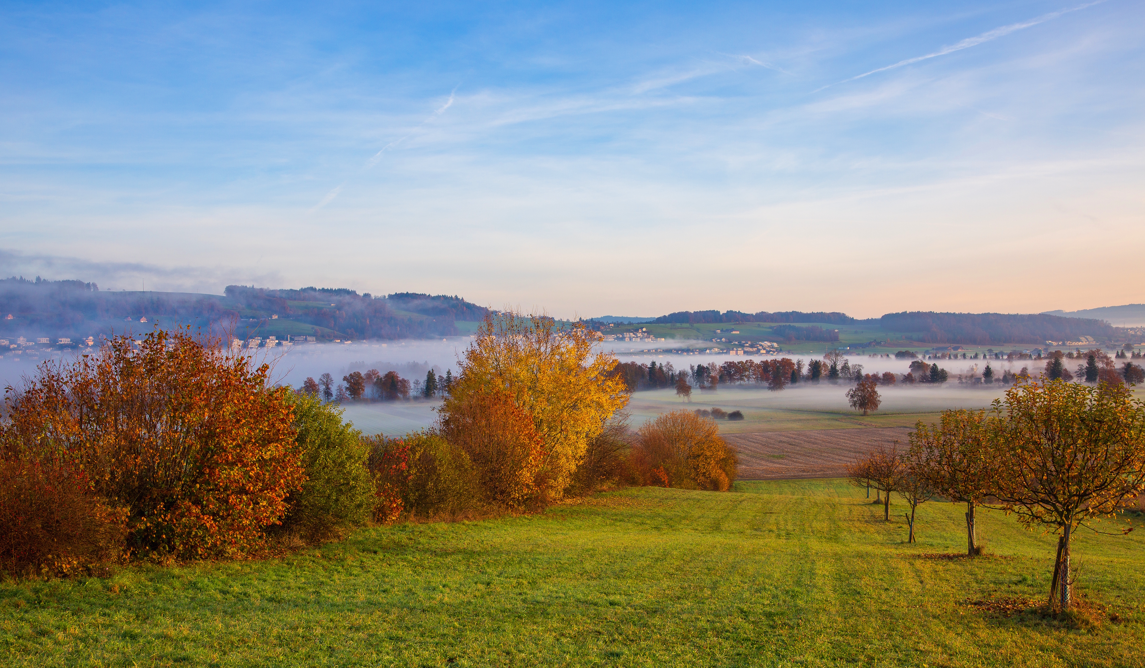 Herbstfarben und Bodennebel im Moos